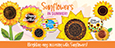 Sunflowers in Summers