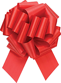#9 Hot Red Perfect Bow