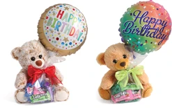 Teddy Bear Treat Ready Go Gift 10pk