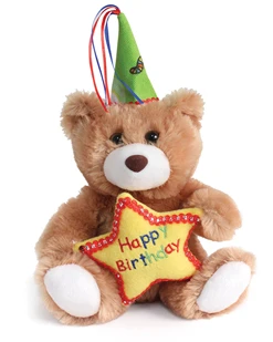 7 Inch Birthday Star Bear